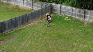 Playing Frisbee with Balto