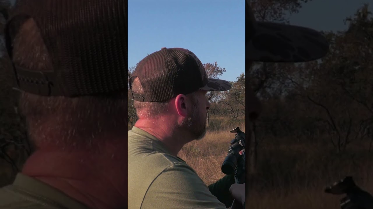 Hunting Eland #hunting #wildlife