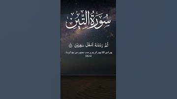 Surah At-Tin (سورة التين) | لَقَدْ خَلَقْنَا الْإِنسَانَ فِي أَحْسَنِ تَقْوِيمٍ