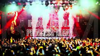 Inhale Exhale | Princess Diana (Skrillex mashup)