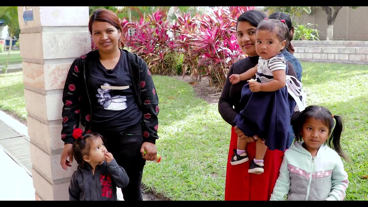 Baxter Institute 2025 / Instituto Baxter 2025