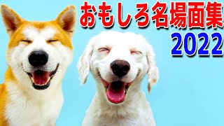 おかしな場面集 2022 ～おもしろ総集編～