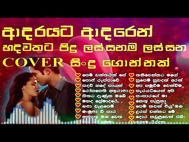ආදරයට ආදරෙන් හිතට දැනෙන | Best Sinhala Cover Songs Collection | තනිවම මනෝපාරකට අහන්න සුපිරි සිංදු class=