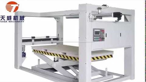 Automatic feeding system for plywood factory Customizable