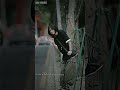 Dandelion xml🎟️. alight motion preset xml.link in descriptio #xml file #Edit KM VIDEO