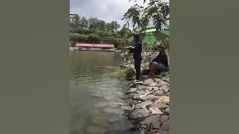 Chép khủng tại vũng tàu marina châu pha