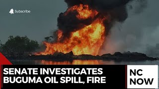 Nigeria’s Senate to Probe Buguma Oil Disaster Nigeria’s Senate to Probe Buguma Oil Disaster