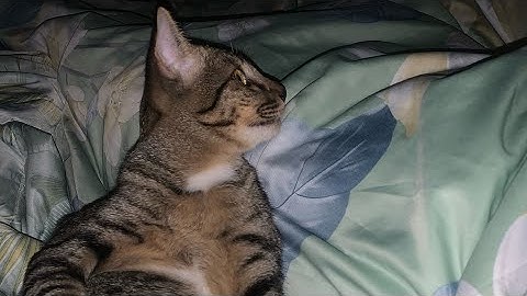 Arsenal in 3y ago ( 2022 ) Re-upload #arsenalroblox 