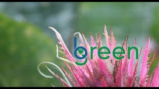 B green's Going Green Tip #17: Knowledge is power!