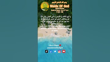 Quran Kareem Surah Al Imran سورة آل عمران V: [48 - 50] With Urdu And English Translation #allah