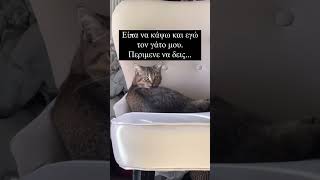 Τι γίνετε εδώ λέει 😄