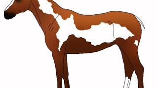 SpeedPaint - Lightning