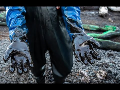 В бухте Новороссийска пытаются предотвратить экологическую катастрофу из-за разлива нефти