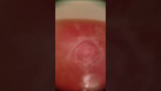 Bath and Body Works Thousand Wishes Bath Fizz Review