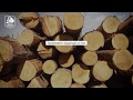 Отчет Департамента лесного хозяйства Томской области