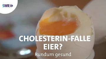 Kann man Ei mit Hagelschnur essen?