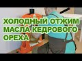 Холодный отжим масла кедрового ореха