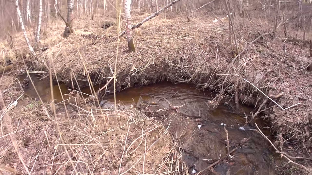 За золотом по весенним ручьям. - YouTube