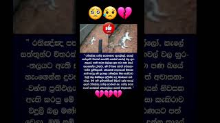 අනේ...🥺😥💔💔 #shorts #blessed #trending #news #viral #gossip #sl #sinhala #srilanka #sad