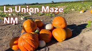 La Union Corn Maze and Pumpkin Patch, Anthony New Mexico.