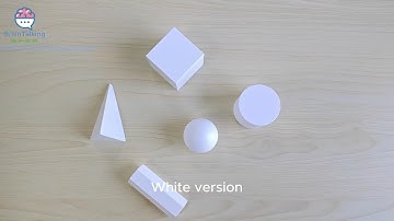 Novel Object Recognition (NOR) Test