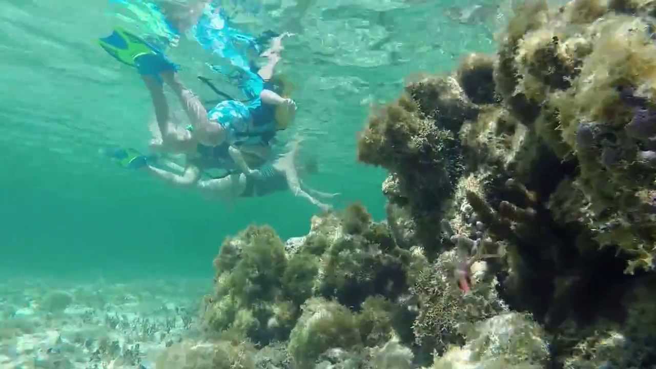 Snorkeling Old Man Bay, Grand Cayman YouTube