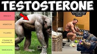 20 Best Back Exercises That Increase Testosterone In Fighters (boost Muscle, Strength, Power)