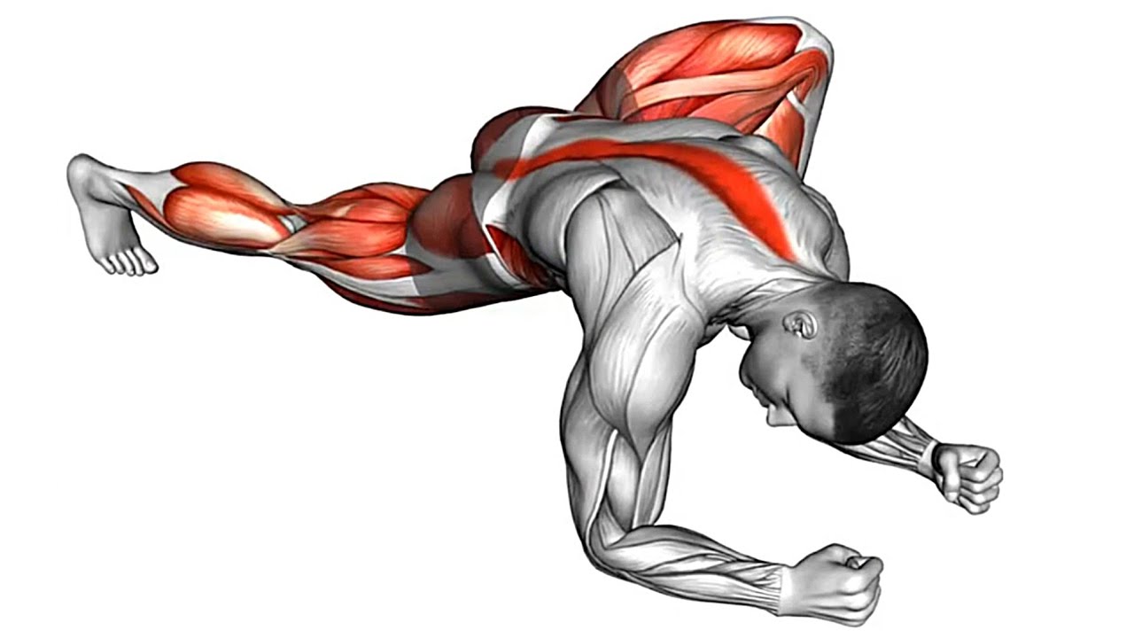 8 Most Unique Exercise for Muscle Growth Workout