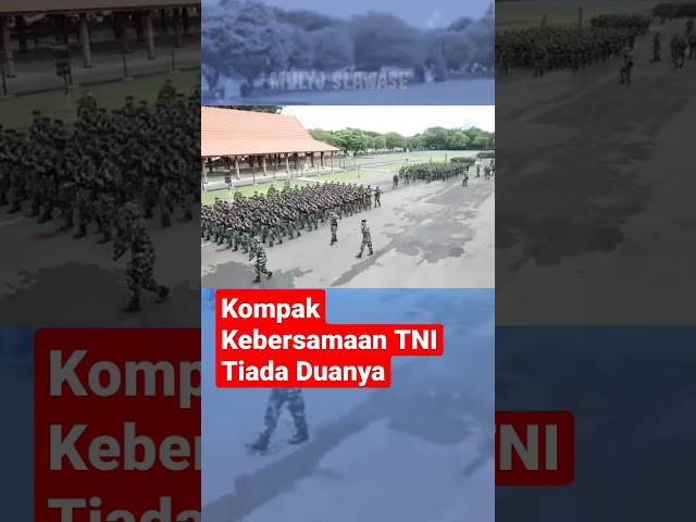 Kompak Kebersamaan TNI Tiada Duanya #shorts #shortvideo #tni #tniad #pendidikan #video class=
