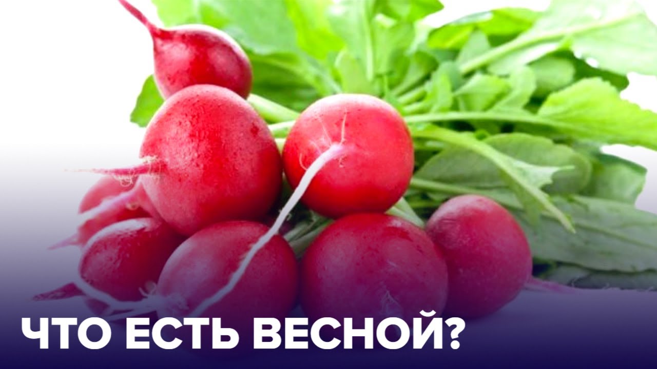 Что есть весной: 4 самых полезных СЕЗОННЫХ ПРОДУКТА!