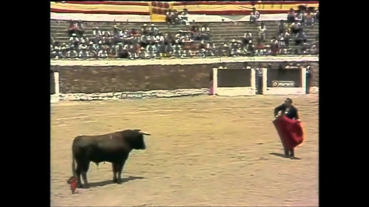 camera iphone 8 plus apk Antoñete festival de Medina de Rioseco 1986