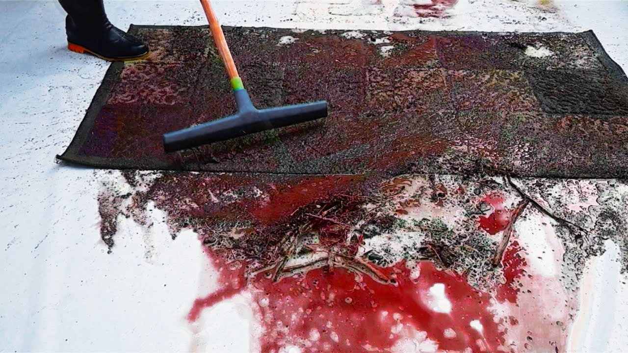 Oddly Satisfying Carpet Cleaning: Transform Dirt to Perfection /satisfying rug cleaning🧼🙌😍