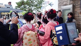 Geishas Walk from Minamiza to Pontocho Alley in Gion Kyoto | 京都祇園、南座から先斗町を歩く外国人観光客と舞妓さん、海外の反応