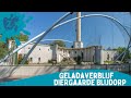 Diergaarde Blijdorp - Geladaverblijf