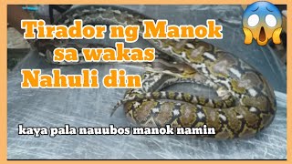 MAHIGIT 2 METERS ANG HABA😱||NAHULI DIN SA WAKAS||TIRADOR NG MGA MANOK💯 by Mhers Channel 25 25 views 7 months ago 1 minute, 34 seconds