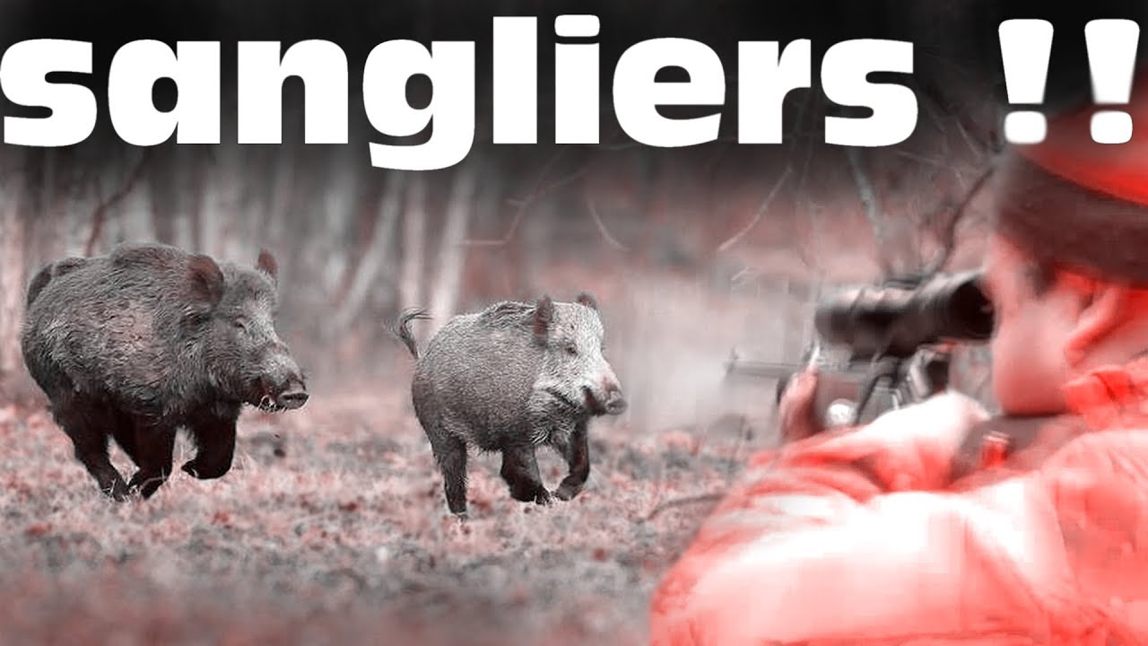 chasse-du-grands-gibiers-2018-hd-youtube