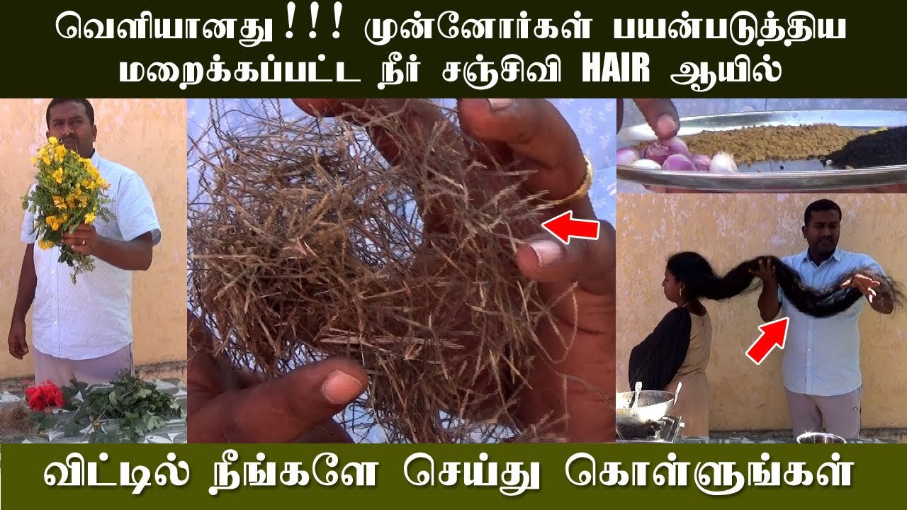 வெளியானது !!!!! முன்னோர்கள் பயன்படுத்திய நீர் சஞ்சீவி ஹேர் ஆயில் | Hair Growth Natural oil