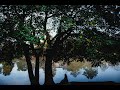 St. Thomas Parks: Pinafore Park