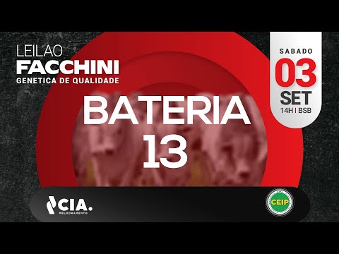 BATERIA 13 LEILÃO FACCHINI 2022