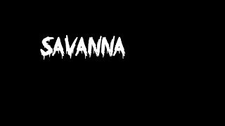 Savanna ecosystem video