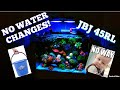 NO WATER CHANGES EVER!!