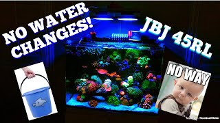 NO WATER CHANGES EVER!!