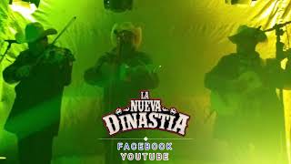 La Nueva Dinastía. A usted y Que Mala en vivo.