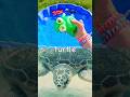 Kids Learn with Toys | Sea Animal Names: Turtle Manta Ray Shark Guitarfish Saw Shark