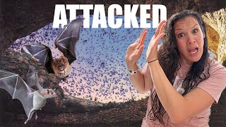 Swarmed By Bats! || Guatemala