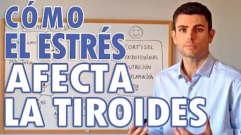 ¿Cómo afecta el estrés a la glándula tiroides?