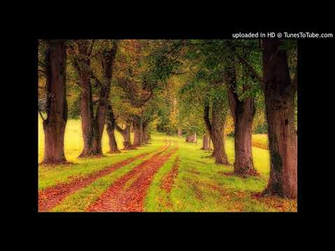 君の家に着くまでずっと走ってゆく (indies ver.)