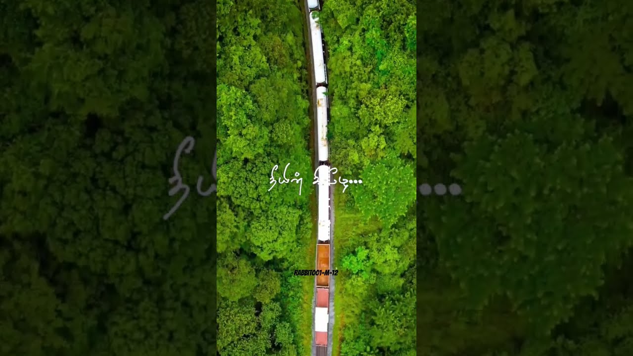 Azhage nee engu #shorts #video #siragugal#song #sarvam#movie #song #u1_music #🥰🎶🐇