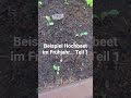 Hochbeet Frühjahr... Teil 1 #hochbeet #frühjahr #garten #gemüse #april