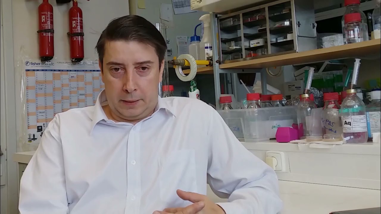 Potravinové alergie a celiakie